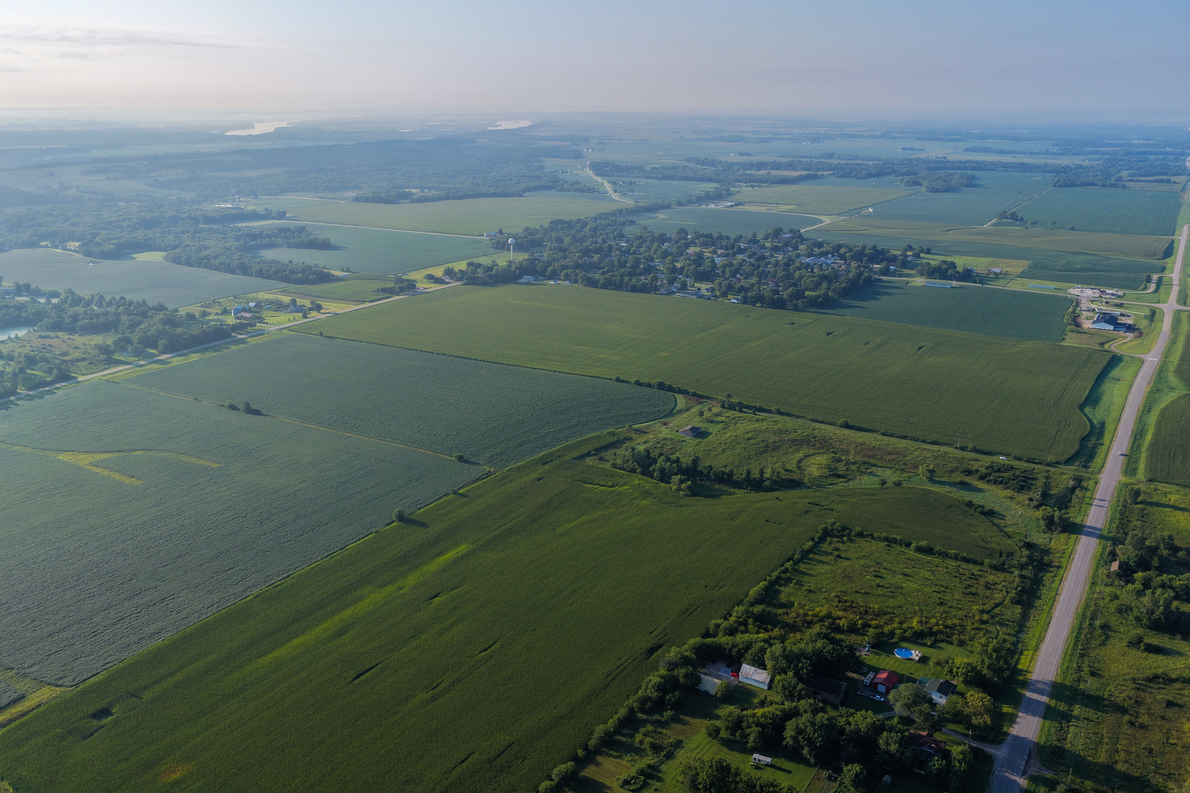 Listing Photo: 90 CSR2 Louisa County Farmland For Sale-28